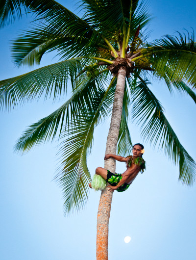 Paradise In Fiji - It's The Little Things