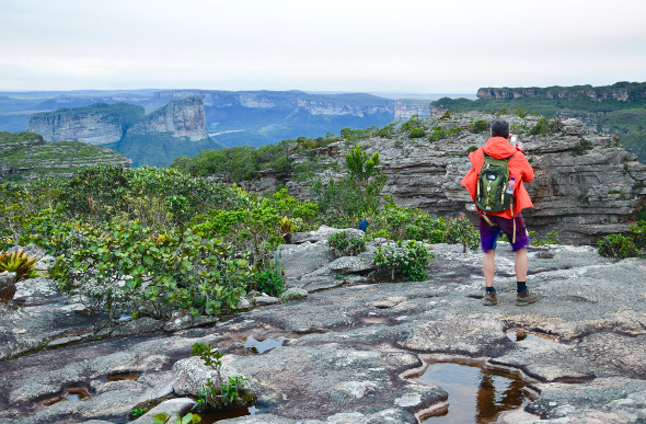 A man looking out over a valley of plateaus and forest