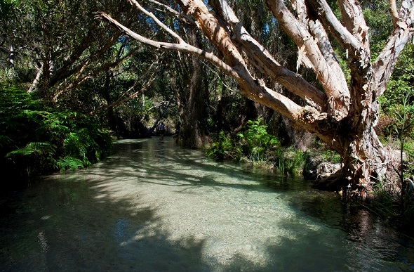  Eli Creek, Fraser Island, Queensland, Australia