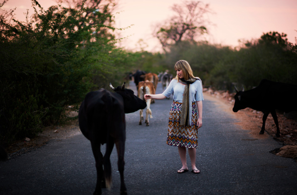 Cows passing a woman under a pink sky