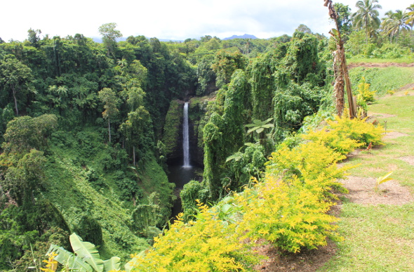 The towering Papapapaitai Falls as seen through lush forest