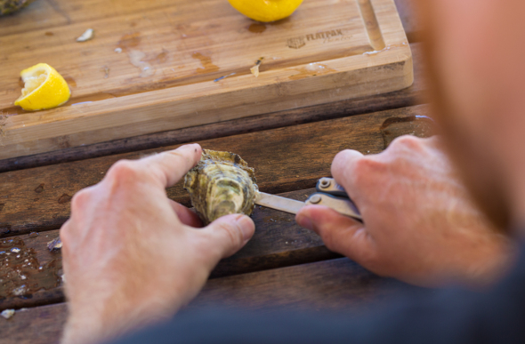 Shucking oysters in Coffin Bay