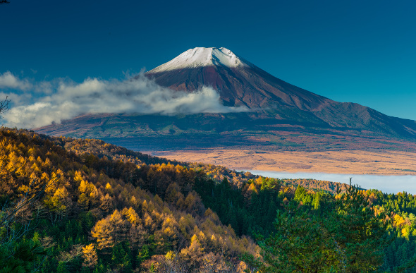 Mt Fuji white capped and looming in autumn