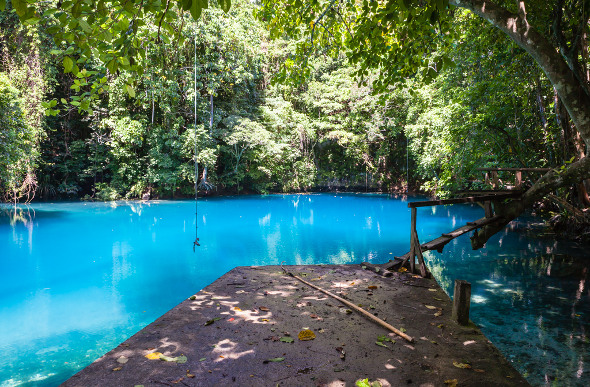 A rope swing hanging over Riri Riri Blue Hole