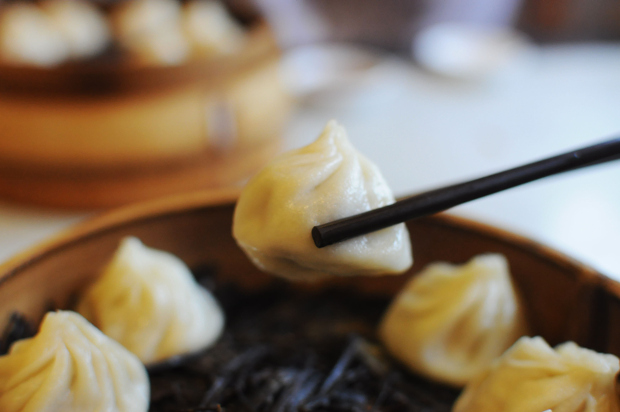 A chopstick holding a small dumpling