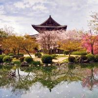 japan tour package with airfare 2024 from australia