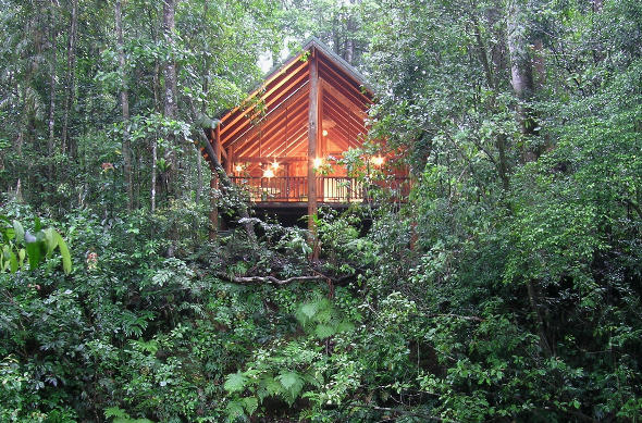 Enjoy the View From Your Treehouse