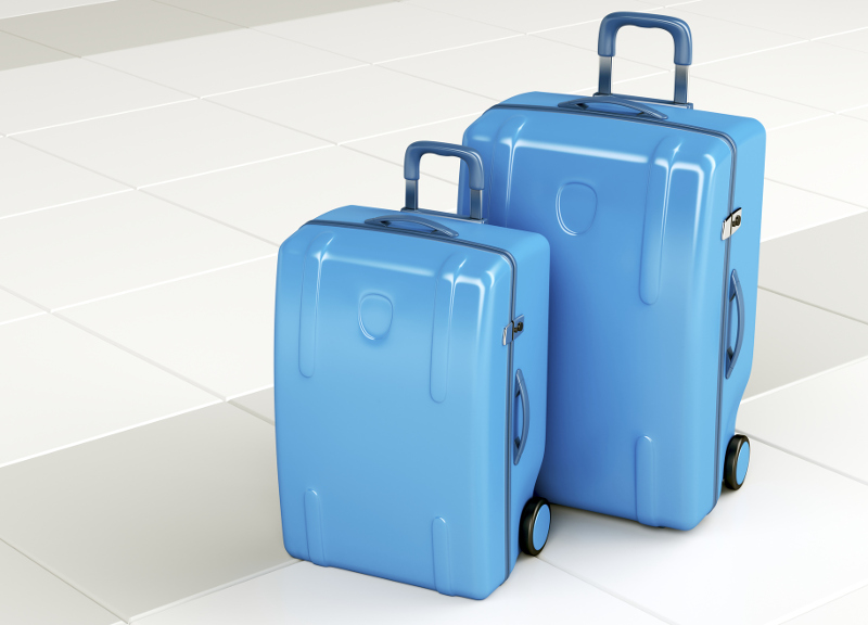 20 roller luggage