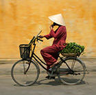 Vietnam Holidays